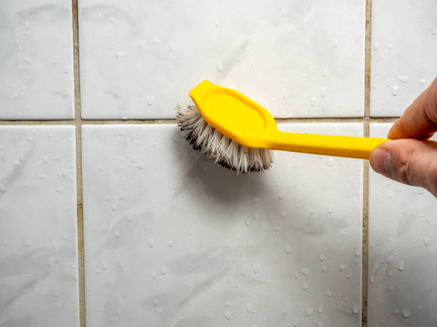 Best Mold Removal Specialists  in Heartland, TX