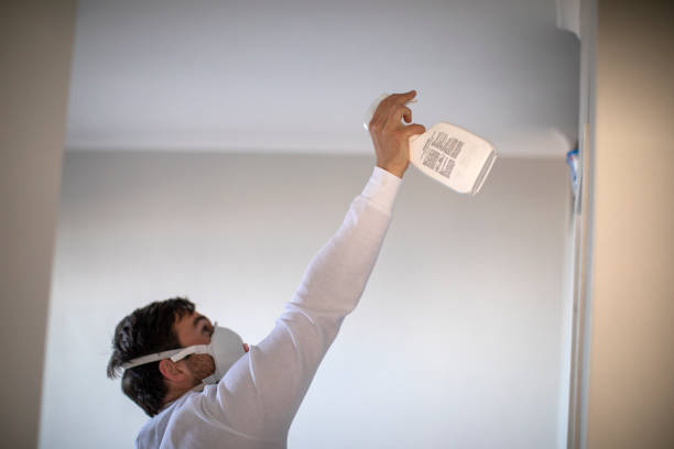 Attic Mold Removal in Heartland, TX